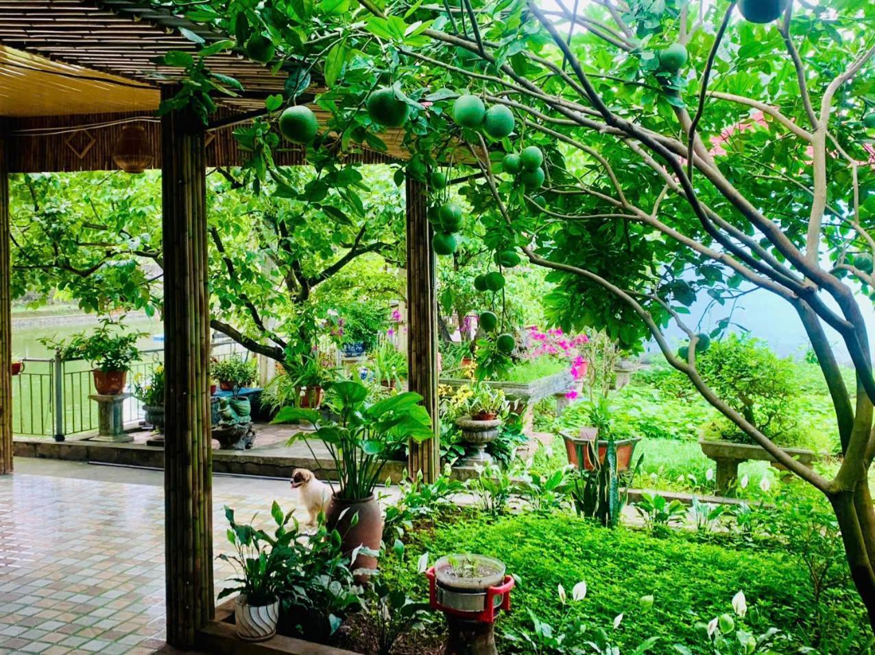 Blue Garden Homestay Ninh Binh Exterior foto